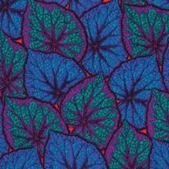 Kaffe Fassett Begonia Leaves: Cobalt PWPJ018 | Quilting Fabric