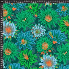 Kaffe Fassett Cactus Flower: Green PWPJ096 | Quilting Fabric