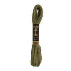 Anchor Tapisserie Tapestry Wool: 9262 | Thread & Yarn